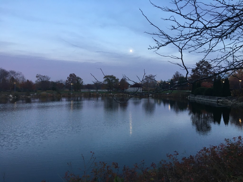 How to deal with waning motivation in the fall and&nbsp;winter