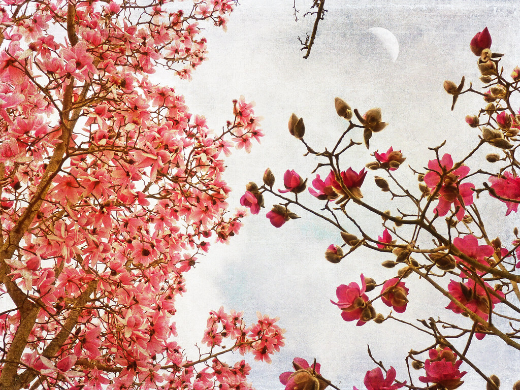 What is self-care? + 5 ideas for&nbsp;self-care